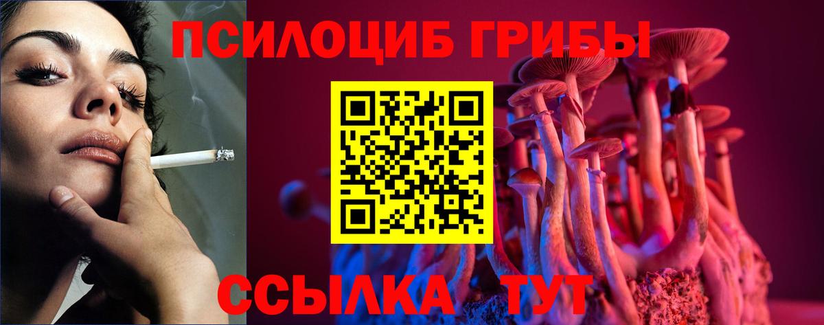 Псилоцибиновые грибы Cubensis  Вход с VPN  Ногинск 